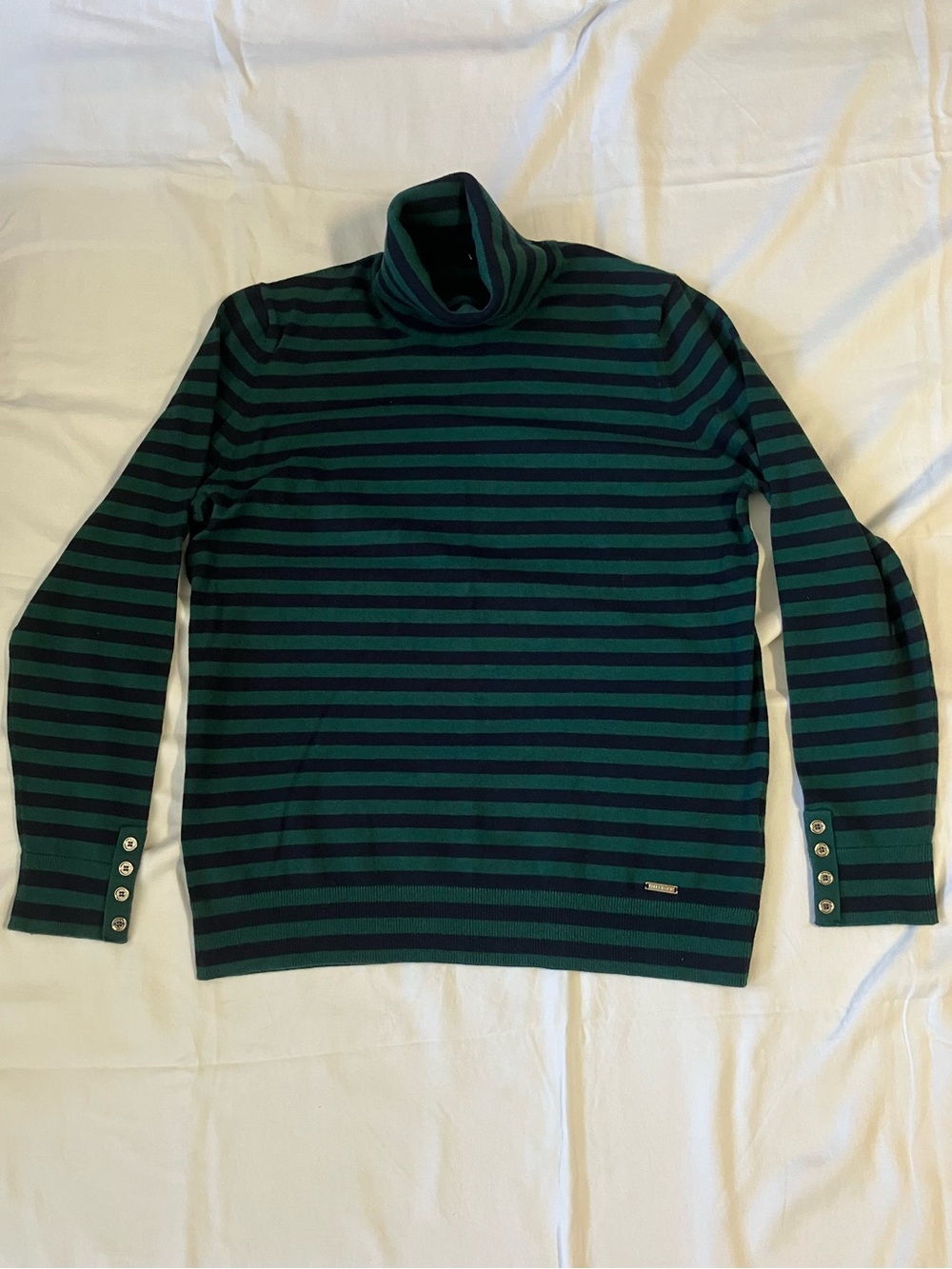 Tommy Hilfiger Striped Turtleneck Sweater in Green and Navy